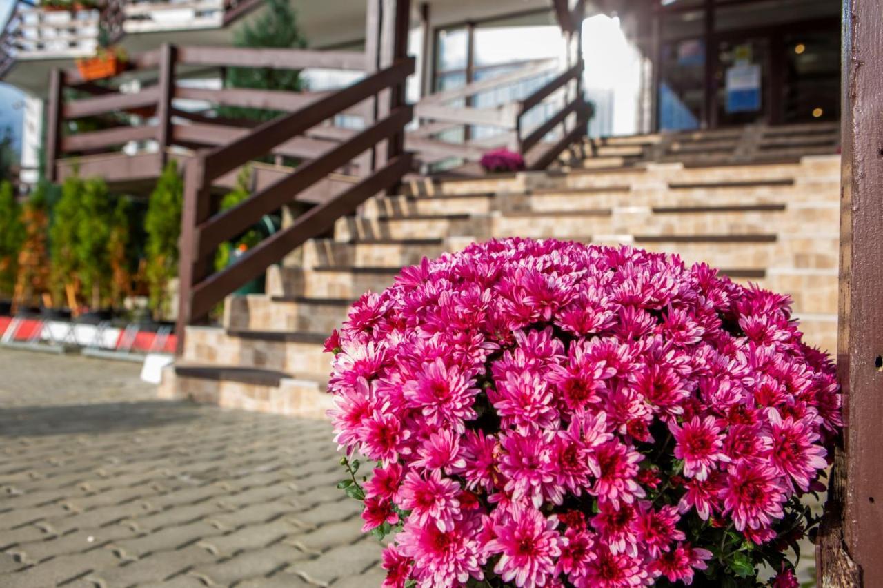 Hotel La Dolce Vita Zărneşti Exteriér fotografie